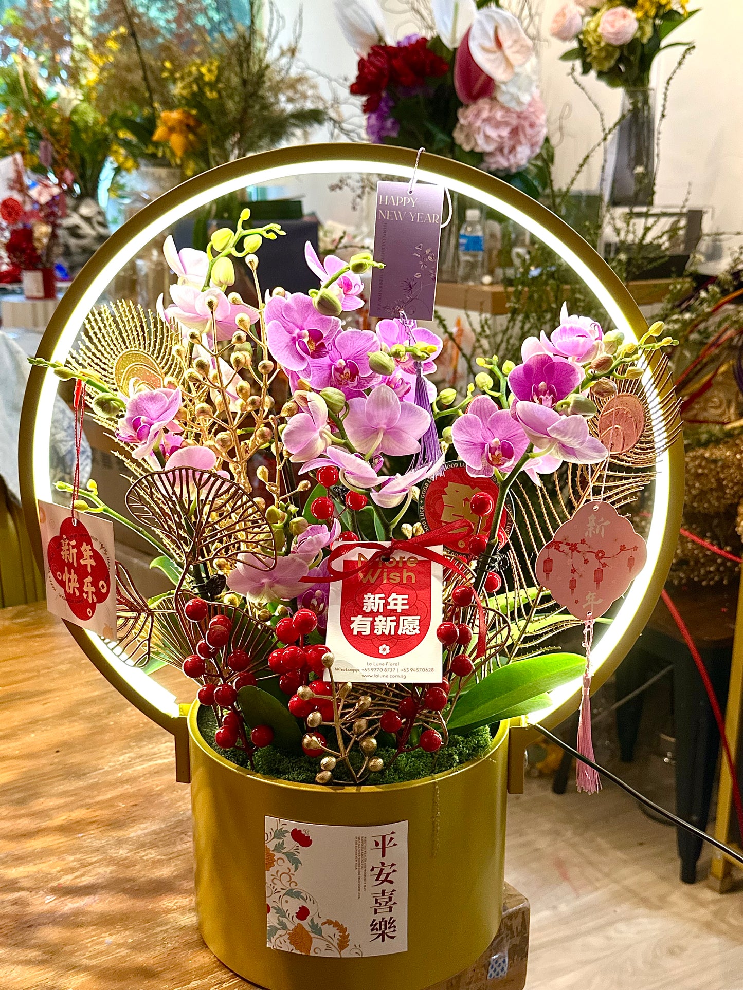 2025 CNY Phalaenopsis Potted蝴蝶兰年宵花带灯