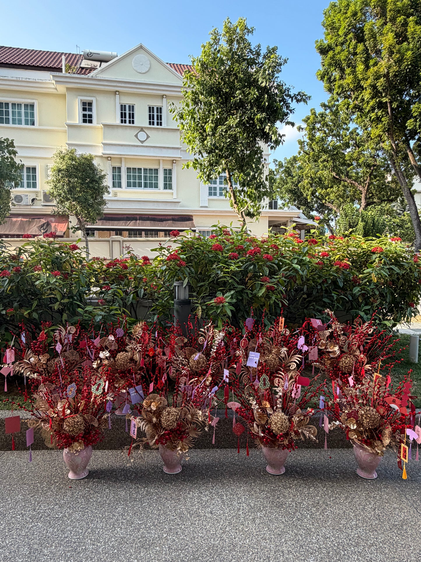 2026 CNY Real Pussy Willow & Artificial Flower Box - Fu Gui Ying Chun富贵迎春
