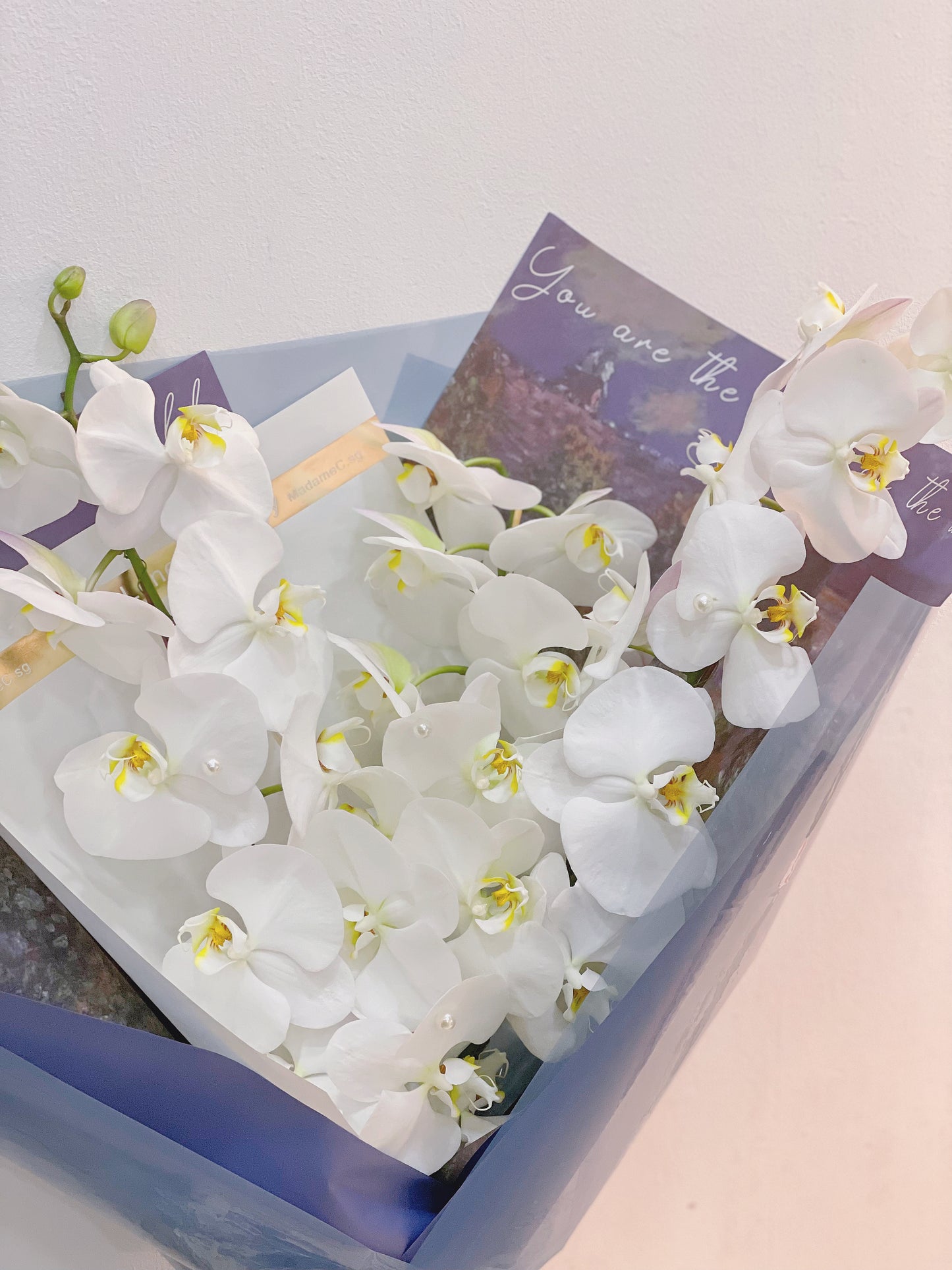 Elegance Phalaenosis white Bouquet（3 stk）
