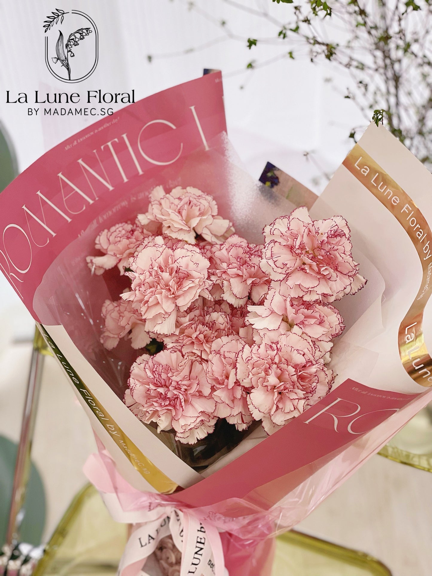 Columbia Carnation Bouquet —— Sweet Pink （11 stk）