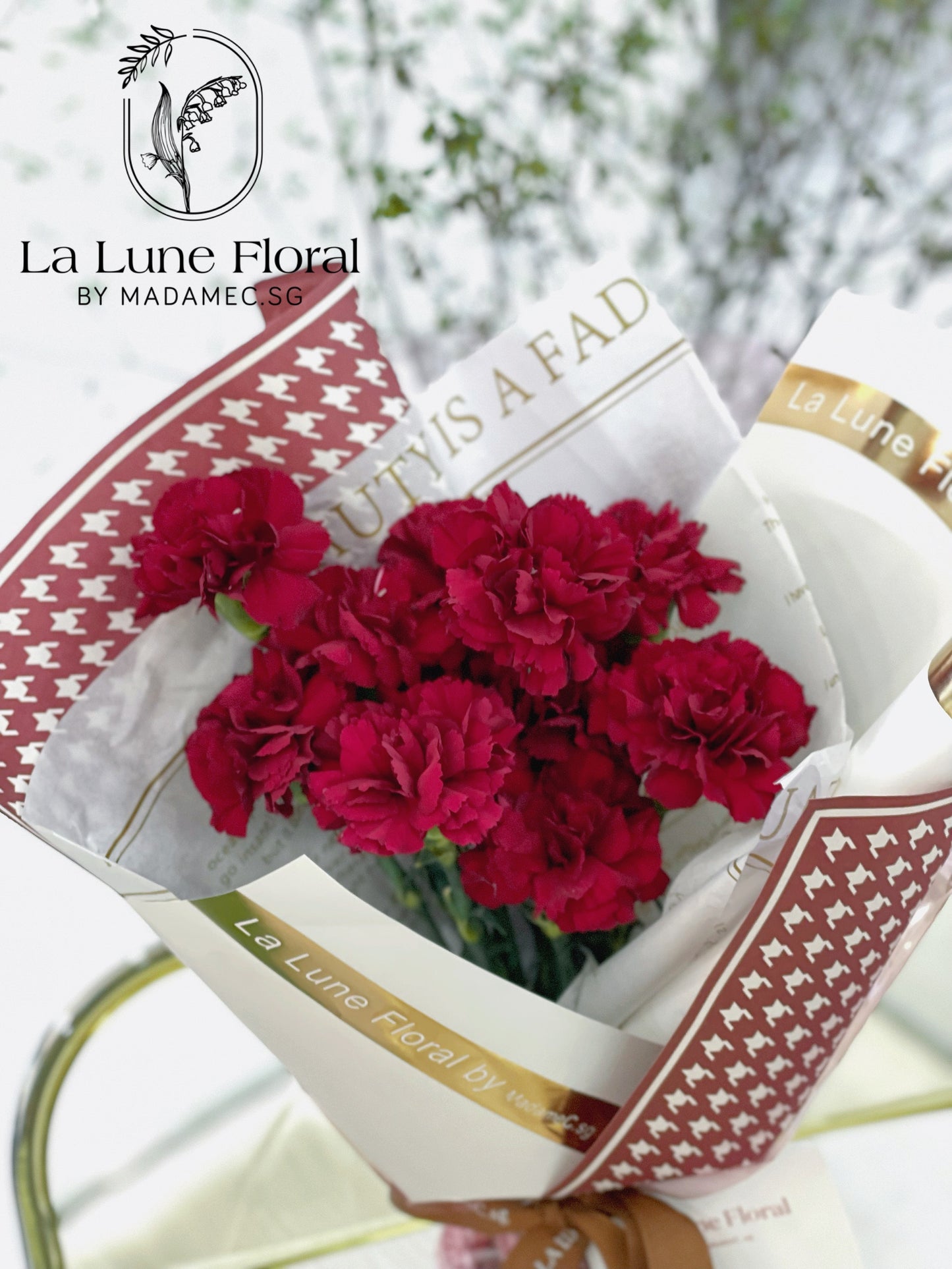 Columbia Carnation Bouquet —— Classic Red（11 stk）