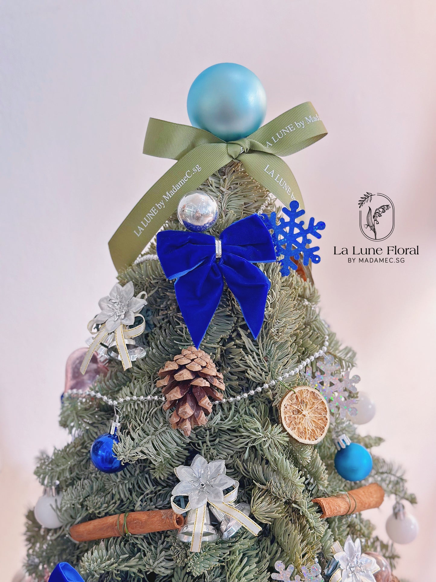 Real,Fresh&Live Christmas Tree 40cm - With Decorate