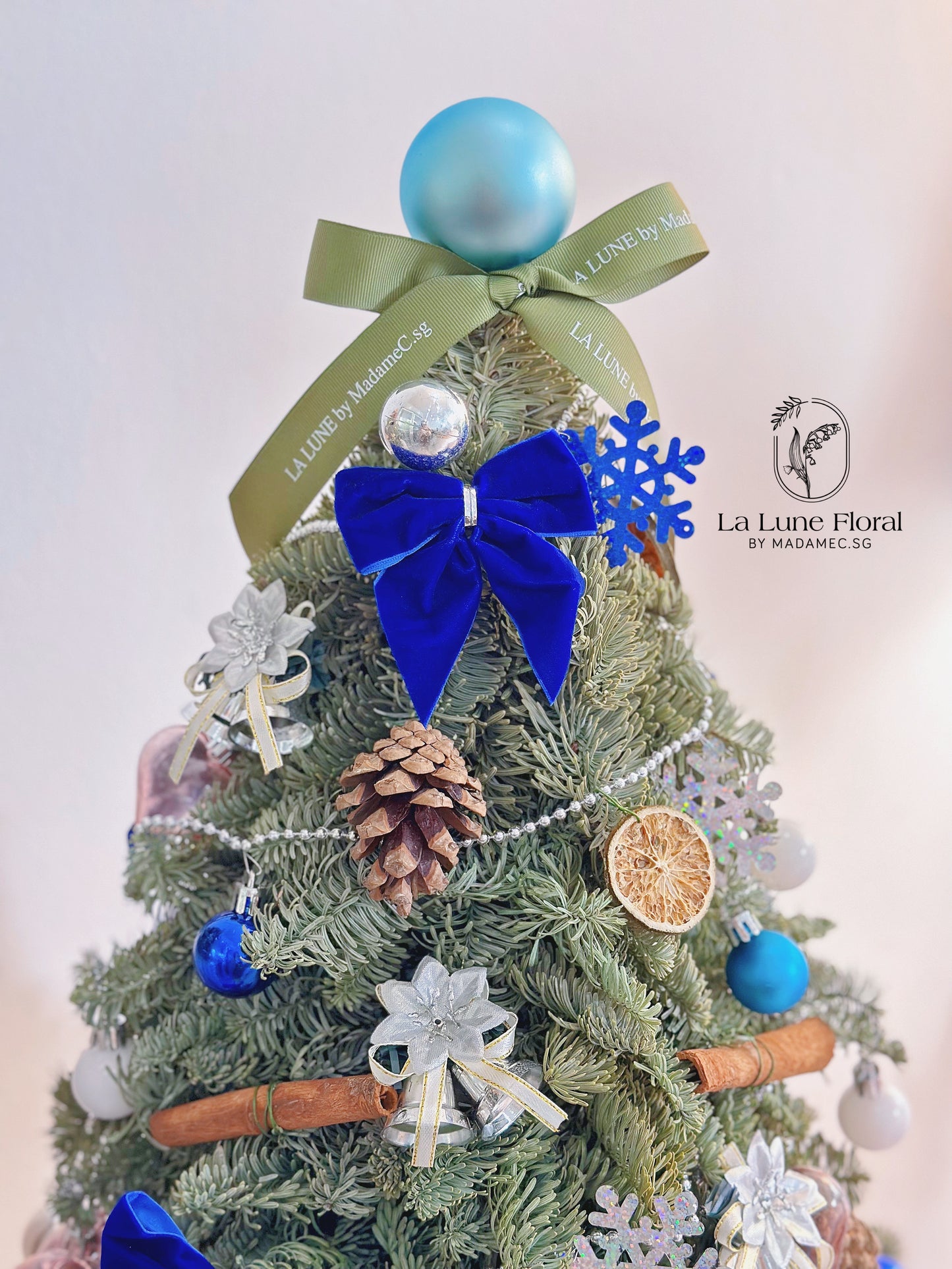 Real,Fresh&Live Christmas Tree 40cm - With Decorate